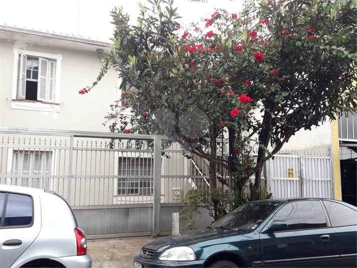 Foto REO397547