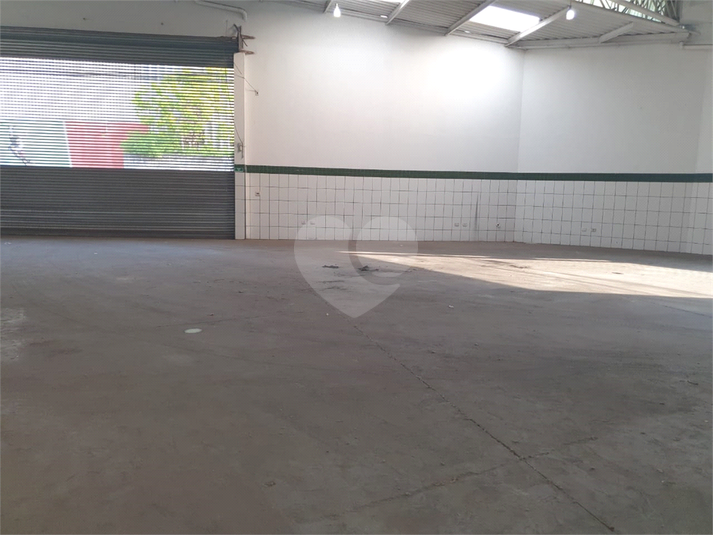 Foto REO397790