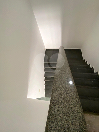 Foto REO398187