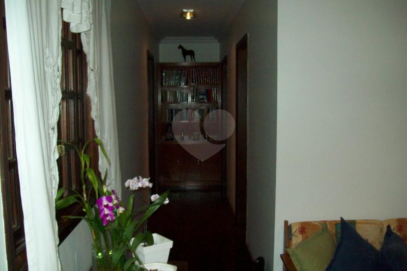 Foto REO39872