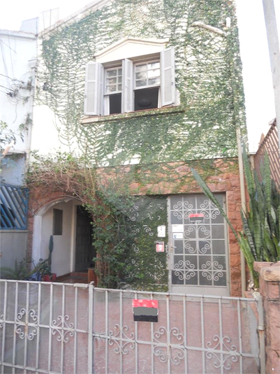 Foto REO398722