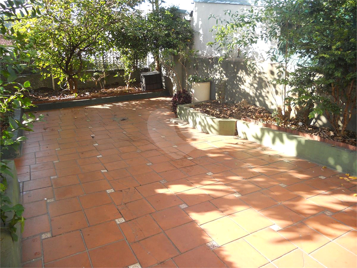Foto REO398722