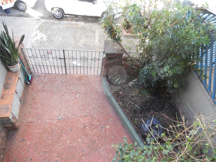 Foto REO398722