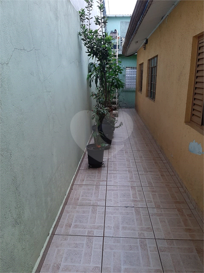 Foto REO399316