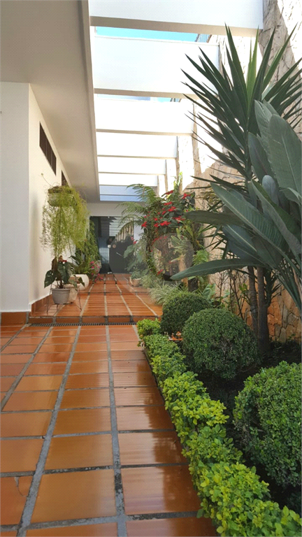 Venda Sobrado São Paulo Jardim Franca REO399738 35