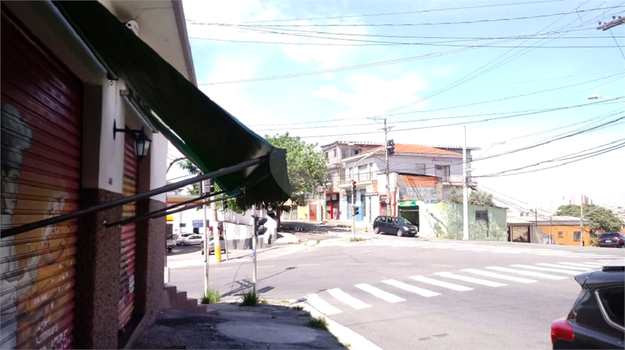 Foto REO399797