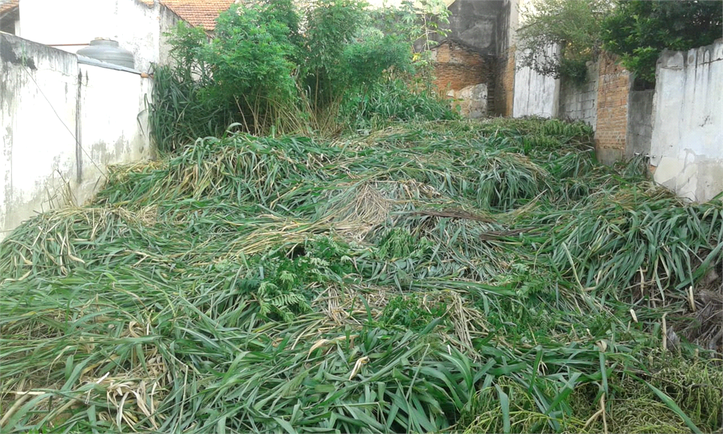 Venda Terreno São Paulo Imirim REO400344 3