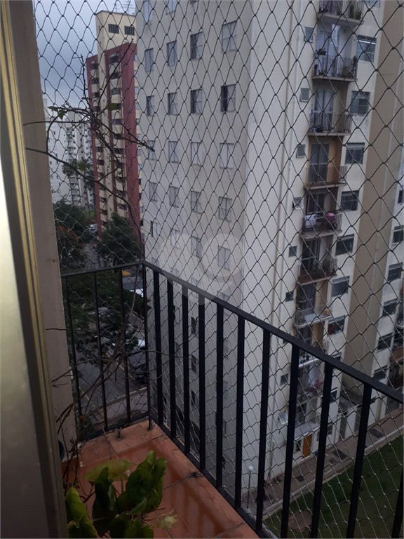 Venda Apartamento São Paulo Jardim Umarizal REO400710 29