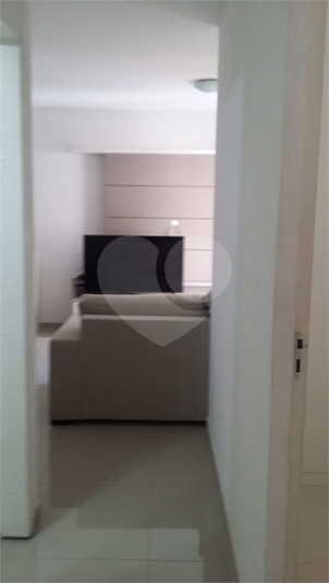 Venda Apartamento São Paulo Vila Nova Alba REO400957 14