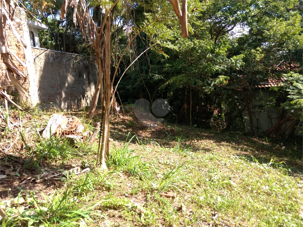 Venda Terreno São Paulo Jardim Morumbi REO401319 2