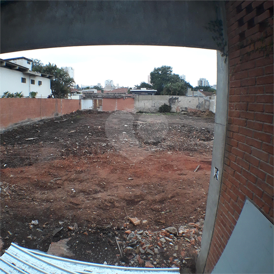 Foto REO40176