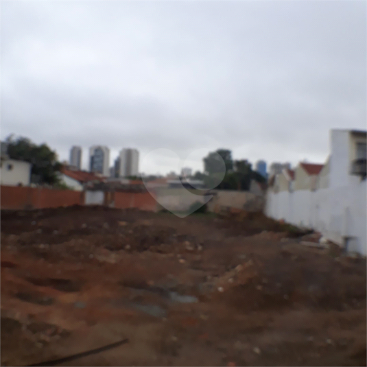 Foto REO40176