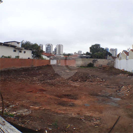 Foto REO40176
