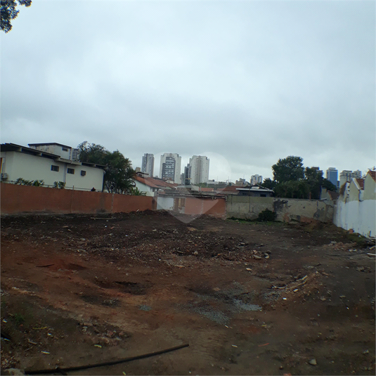 Foto REO40176