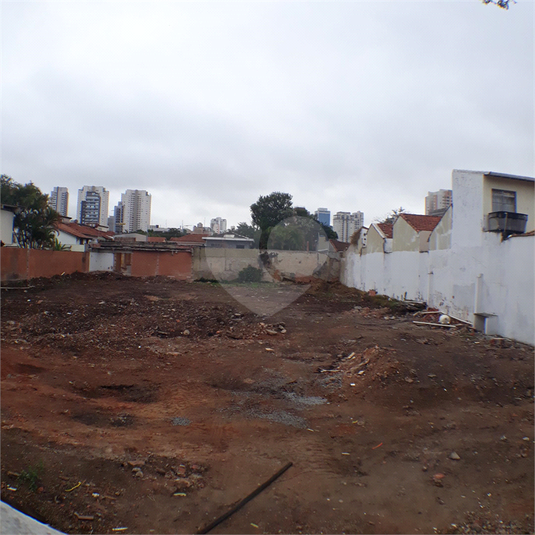 Foto REO40176