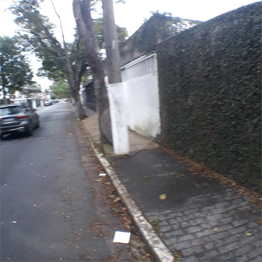 Foto REO40176