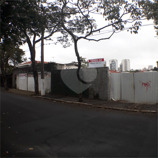 Foto REO40176