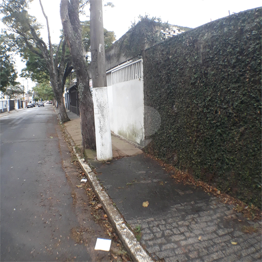 Foto REO40176