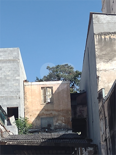 Foto REO40189