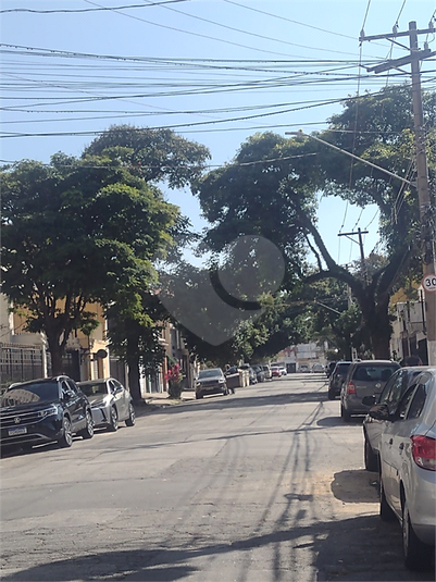 Foto REO40189