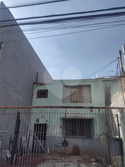 Foto REO40189