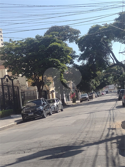 Foto REO40189