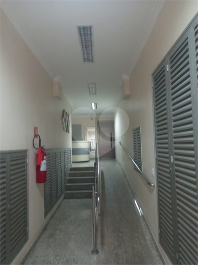 Foto REO402342