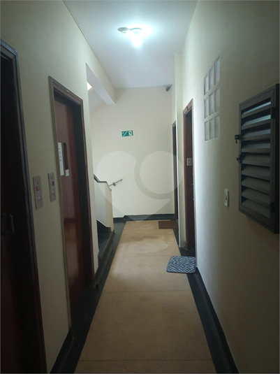Foto REO402342