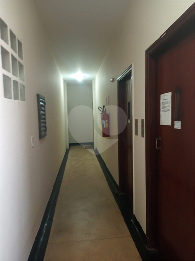 Foto REO402342
