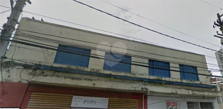Foto REO402770
