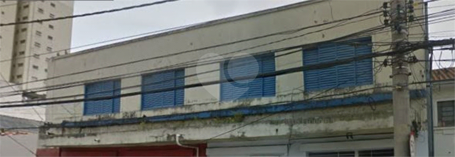 Foto REO402770