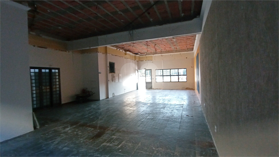 Foto REO403262