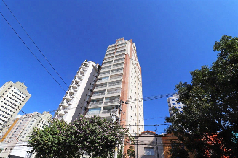 Foto REO403490
