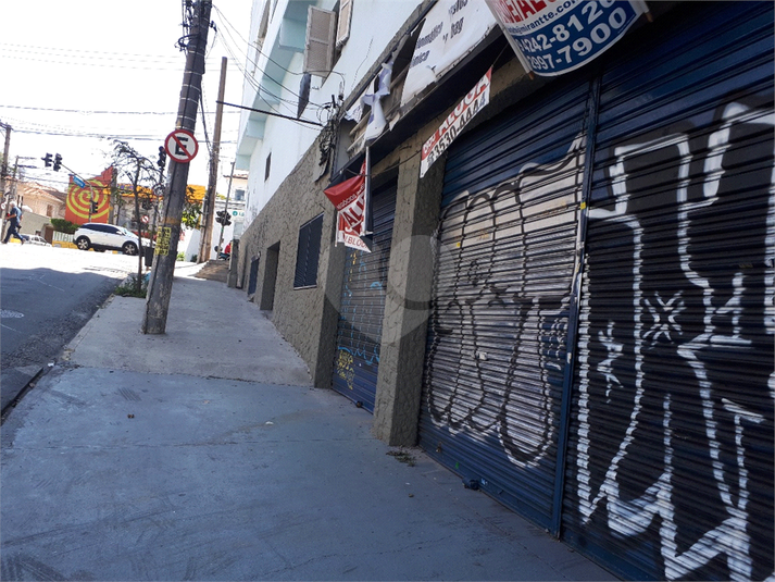 Foto REO404453