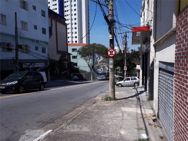 Foto REO404453