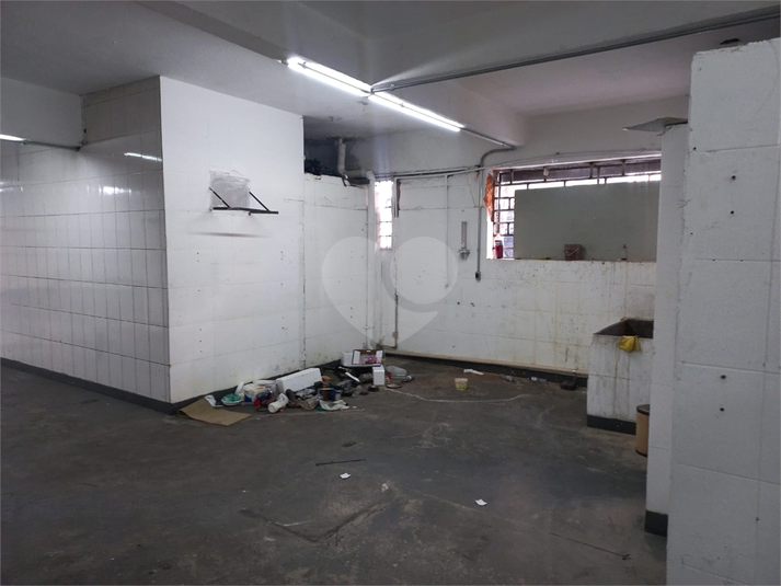Foto REO404453
