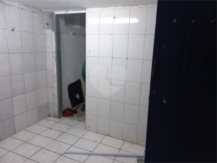 Foto REO404453