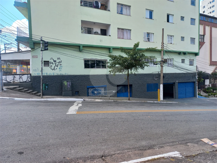 Foto REO404453
