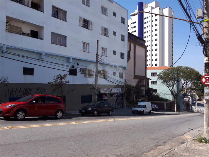 Foto REO404453