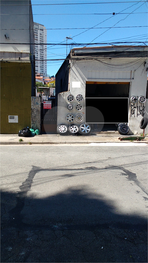 Foto REO404661