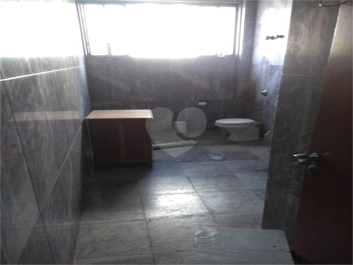 Foto REO405346