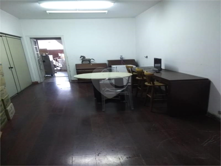 Foto REO405346