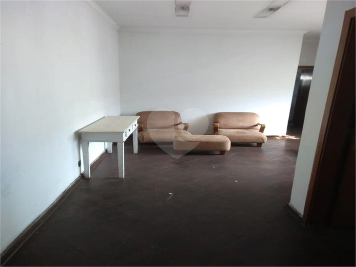 Foto REO405346