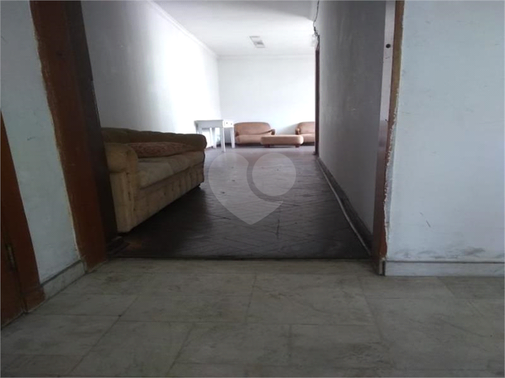 Foto REO405346