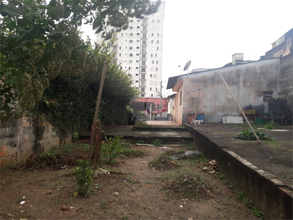 Venda Terreno São Paulo Vila Ede REO405519 8