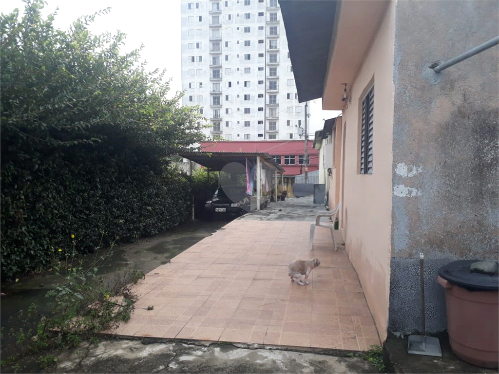 Venda Terreno São Paulo Vila Ede REO405519 9