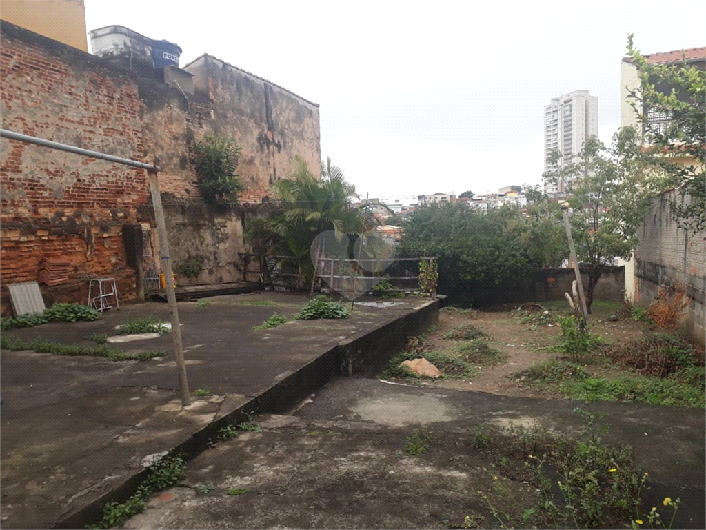 Venda Terreno São Paulo Vila Ede REO405519 6