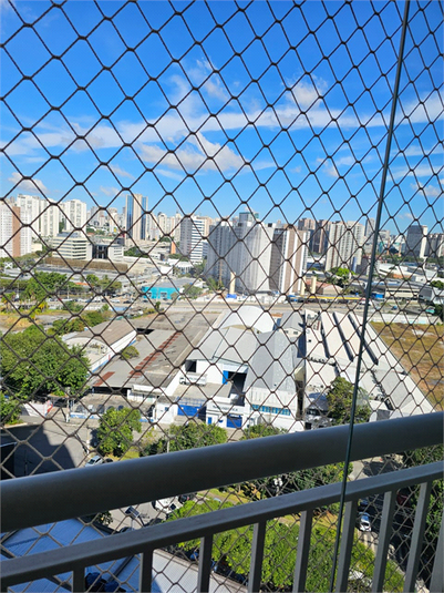 Foto REO405634