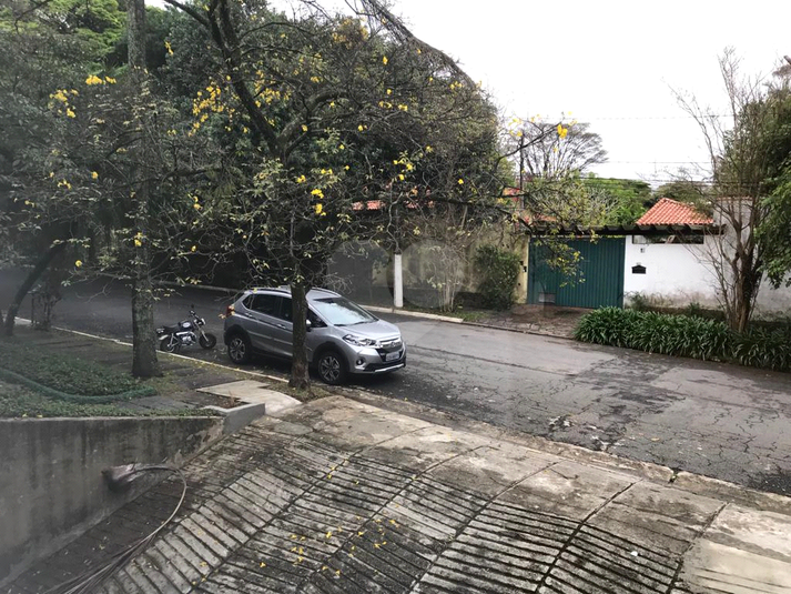 Foto REO405737