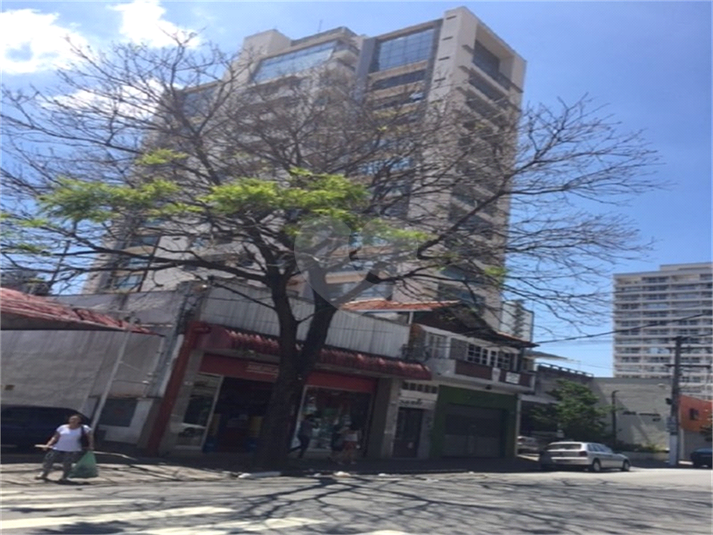 Foto REO406576